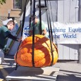 1,000lb. gourds hit Oswego The Great Pumpkin is coming to Oswego, Charlie Brown! More than 30 giant pumpkins are expected to weigh-in this weekend at the Great CNY Pumpkin Festival in Washington Square Park...
