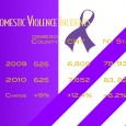 New definitions influence spike in annual abuse data The number of domestic violence incidents reported went up in Oswego County, but it might not just be because the amount of violence that is increasing. “With any issue that...