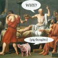 Education without purpose means we might still have learned nothing Writing this now, I can feel a dull pain in my lower back. I started a yoga routine this morning, and whatever an asana is, it’s hell on my spine....