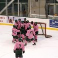 Club hockey has big year Despite a semifinal loss in the NECHL playoffs, the Oswego State men’s club ice hockey team recently wrapped up a successful 2012-2013 season. The Lakers earned a playoff birth by...